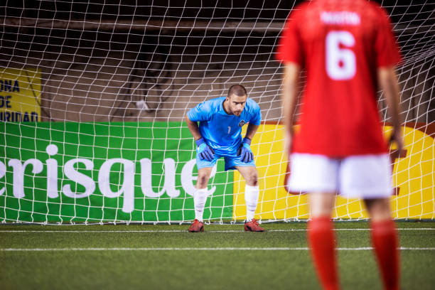 不仅展示了 不仅展示了